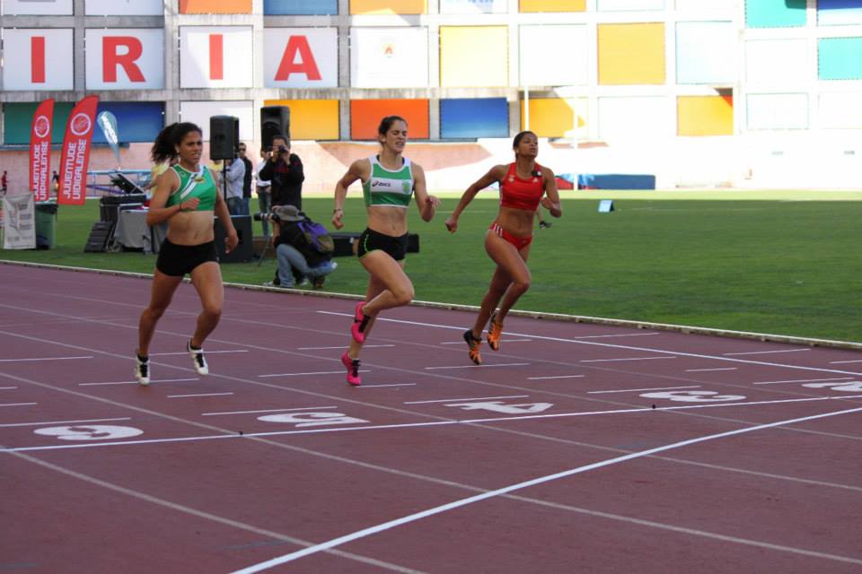 10454916 683848281669533 493498036214904960 n