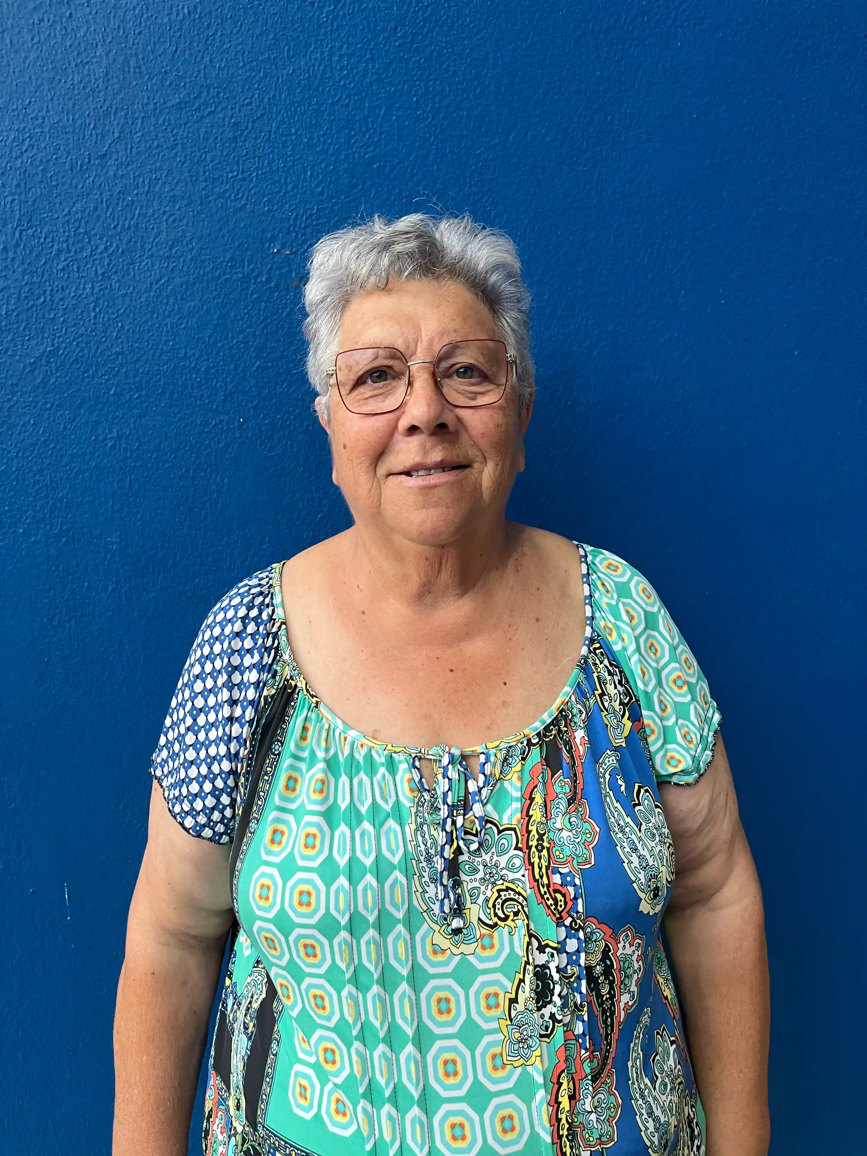 ALZIRA MARIA SANTOS MONTEIRO FERREIRA